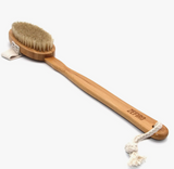 Dry/Wet Long Handle Body Brush
